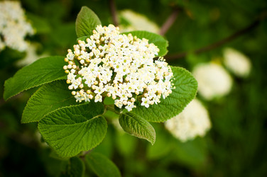 Similar image 8297712