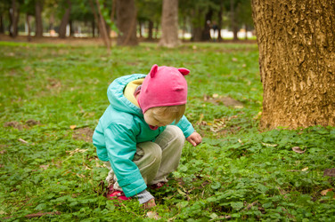 Similar image 8297757