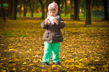 Similar image 8297759