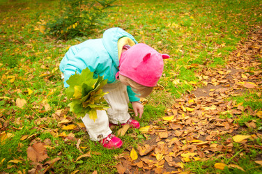 Similar image 8297767