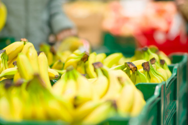 Similar image 8297872