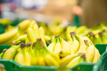 Similar image 8297883