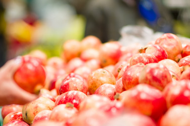 Similar image 8297884