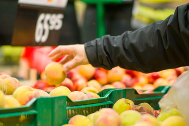 Similar image 8297932