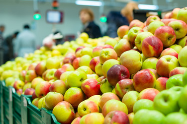 Similar image 8298049