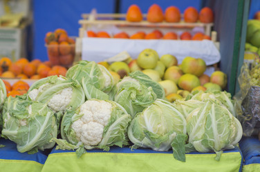 Similar image 8298058