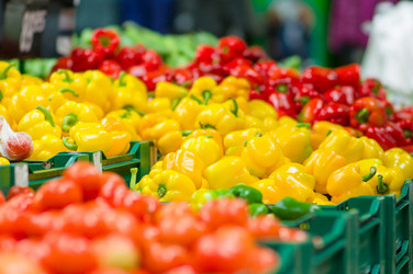 Similar image 8298096