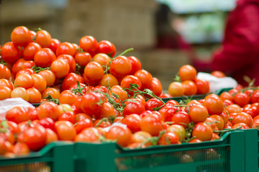 Similar image 8298100