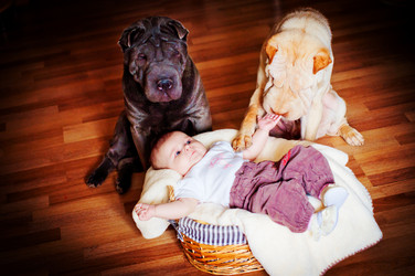 Similar image 8298187