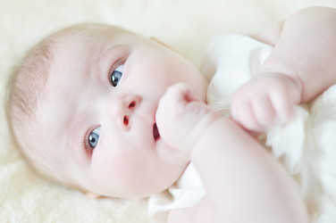 Similar image 8298216