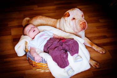 Similar image 8298222