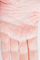 Similar image 8298289