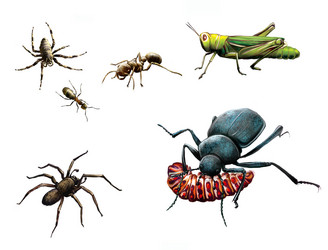 Similar image 8298352