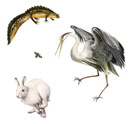 Similar image 8298355