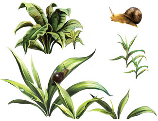 Similar image 8298385