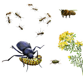 Similar image 8298392