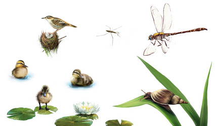 Similar image 8298425