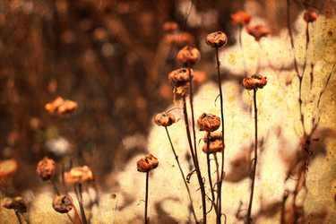 Similar image 8298488