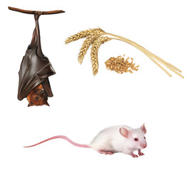 Similar image 8298503