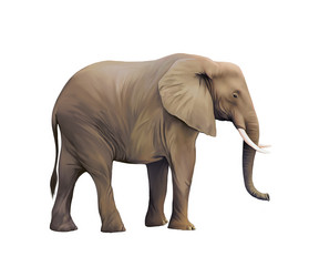 Similar image 8298610