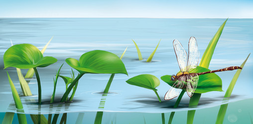 Similar image 8298639