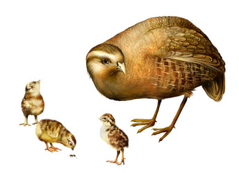 Similar image 8298641