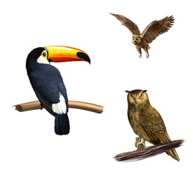 Similar image 8298658