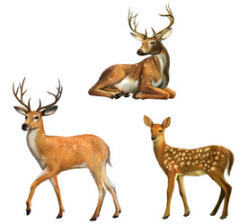 Similar image 8298659