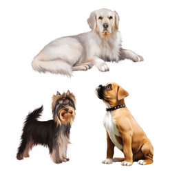 Similar image 8298660