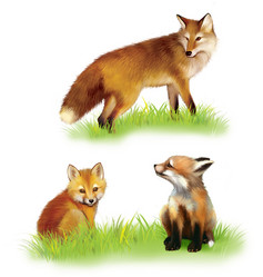 Similar image 8298661