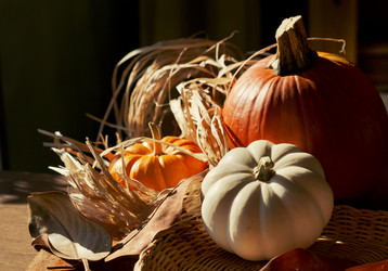 Similar image 8298662