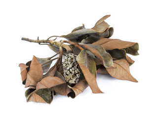 Similar image 8298663