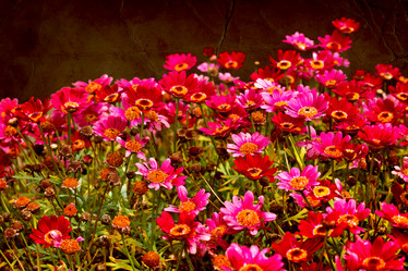 Similar image 8298689