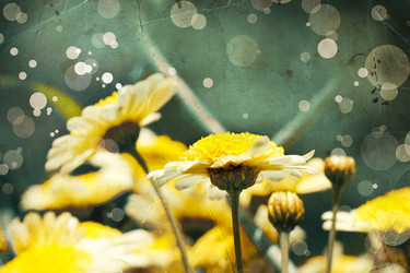 Similar image 8298702