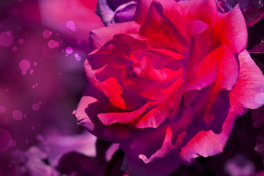 Similar image 8298704