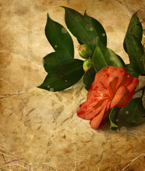 Similar image 8298707