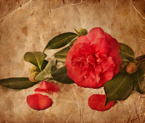 Similar image 8298708