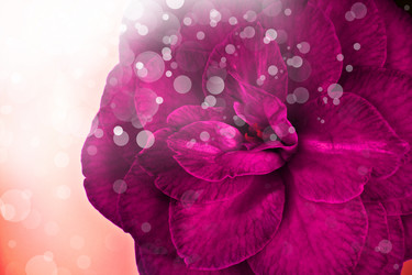 Similar image 8298710