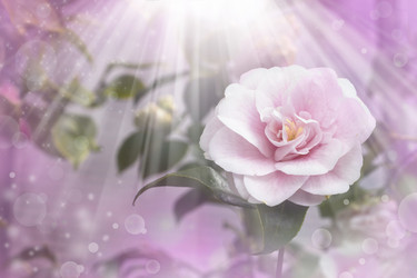 Similar image 8298713