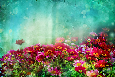 Similar image 8298721