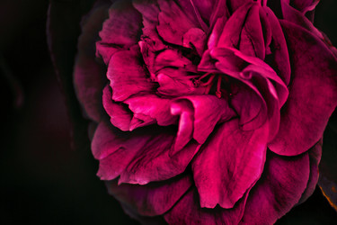 Similar image 8298723