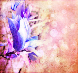 Similar image 8298725