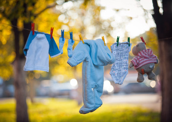 Similar image 8298733