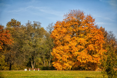 Similar image 8298793