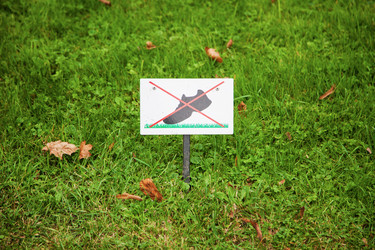 Similar image 8298822