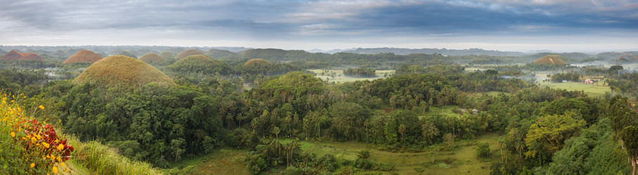 Similar image 8298835