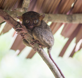 Similar image 8298854