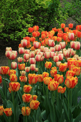 Similar image 8298862