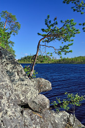 Similar image 8298867