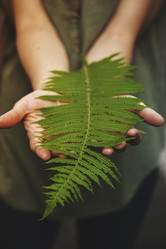 Similar image 8298871